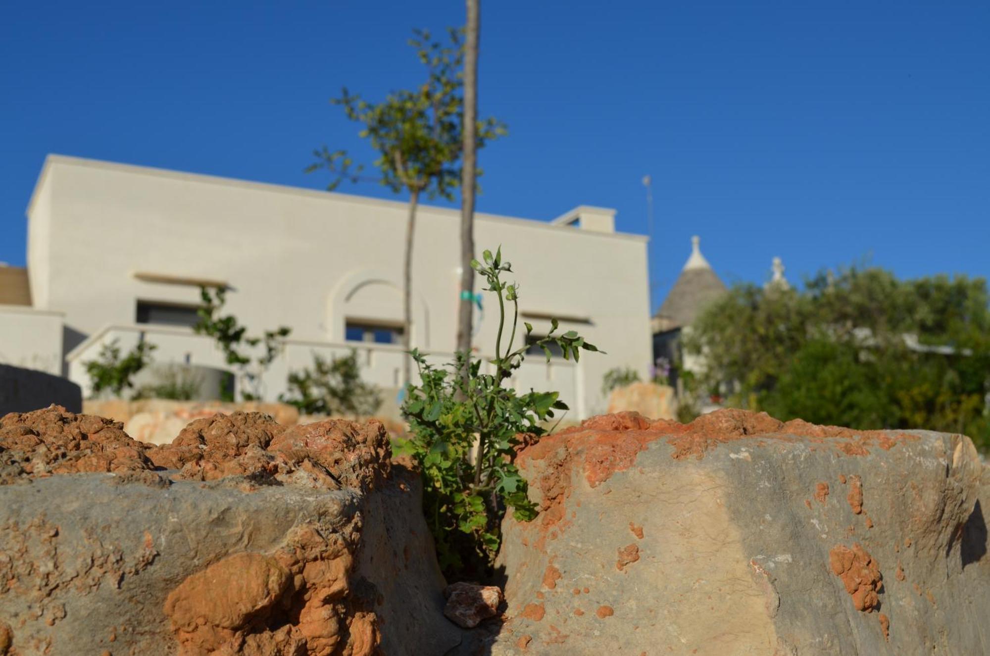B&B Fuga Al Trullo Ostuni Zewnętrze zdjęcie